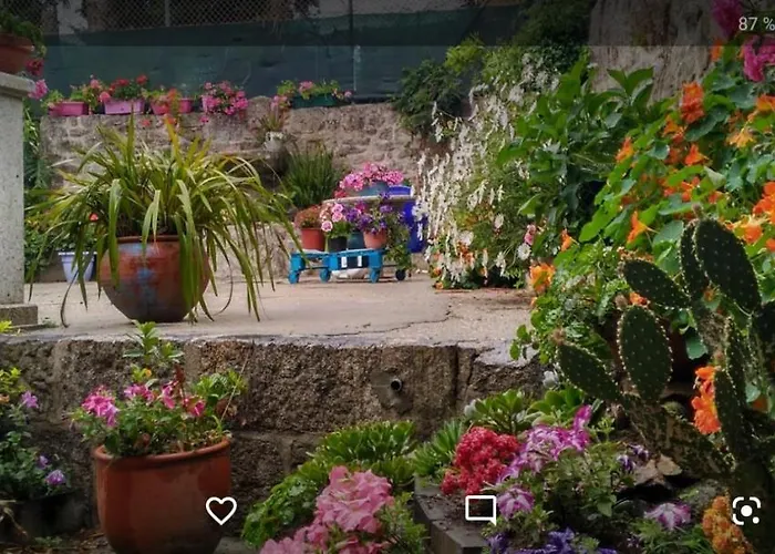 아파트 Tui, Casa Da Barca 투이